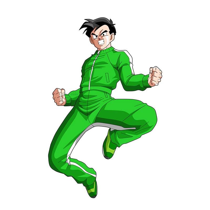  gohan tracksuit