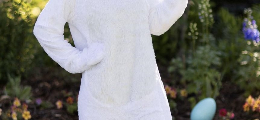 Bunny Costume