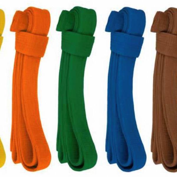 judo belt colors