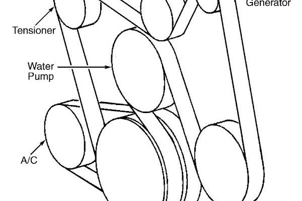 serpentine belt diagram