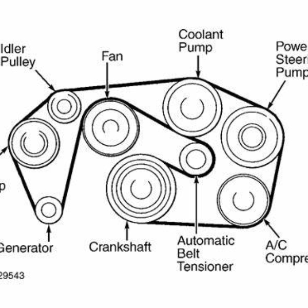 serpentine belt diagram