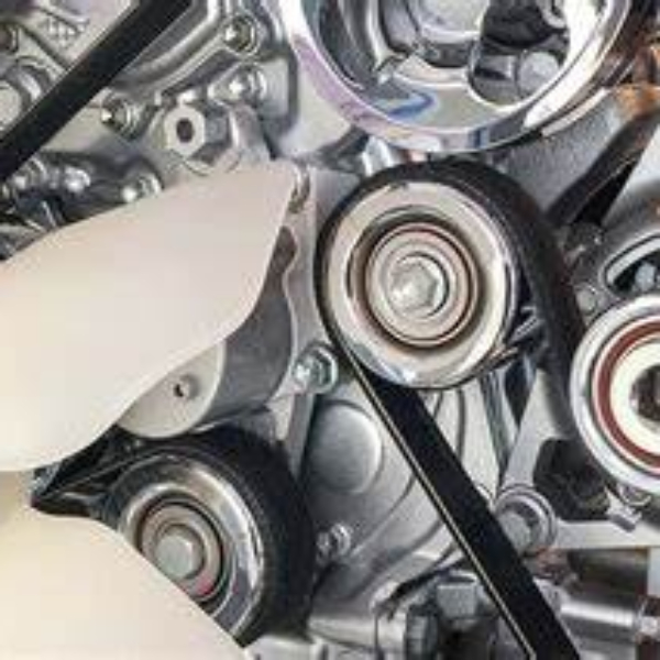 how much does it cost to replace a serpentine belt