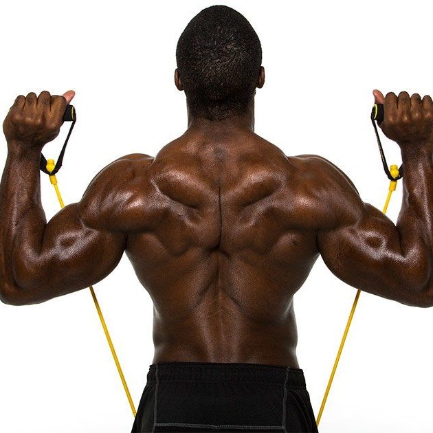 elastic band exercises