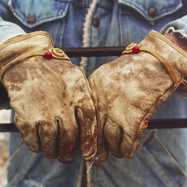 bull riding gloves