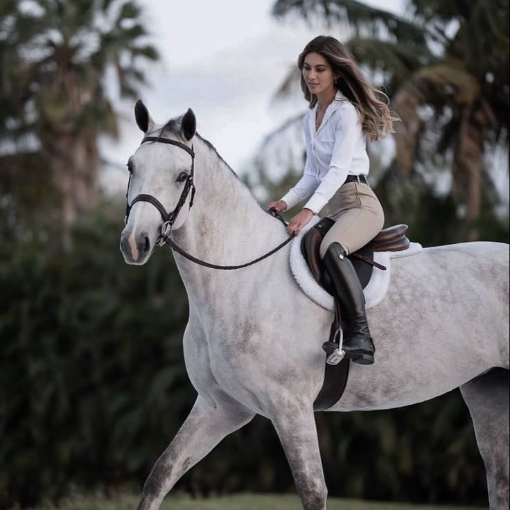 horse riding boots