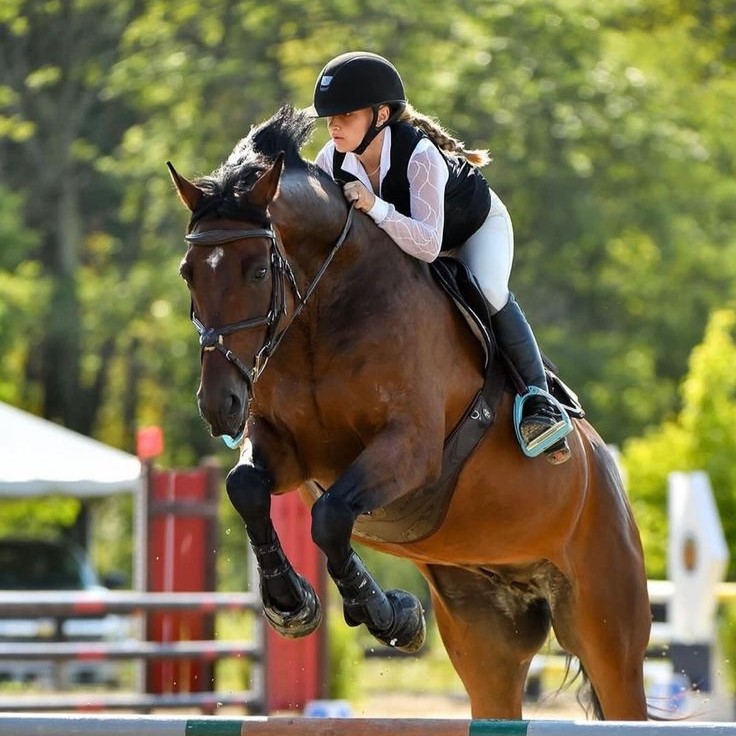 equestrian pants