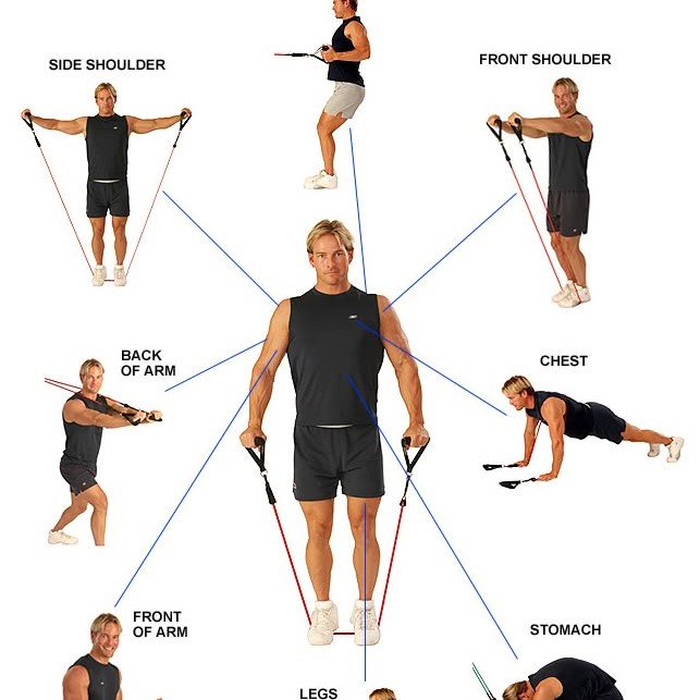 elastic band exercises