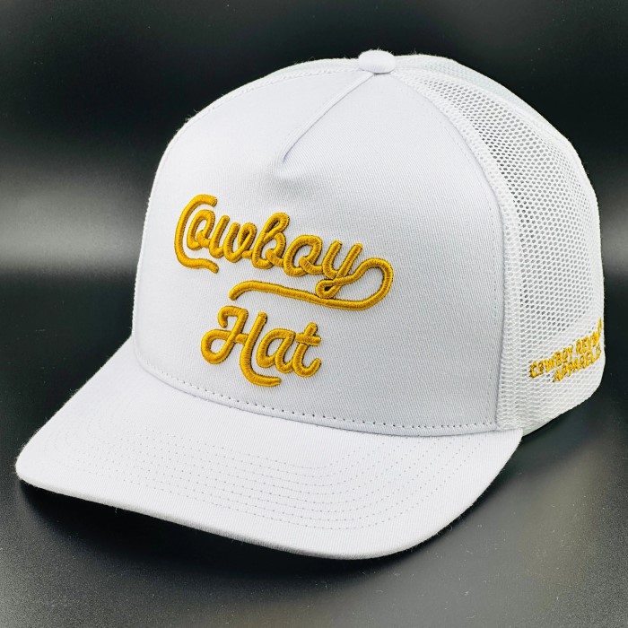 cowboy hat baseball cap